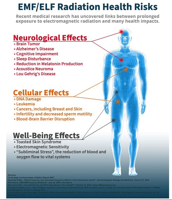 An image of a body with lists of negative health effects of electromagnetic radiation on each body system