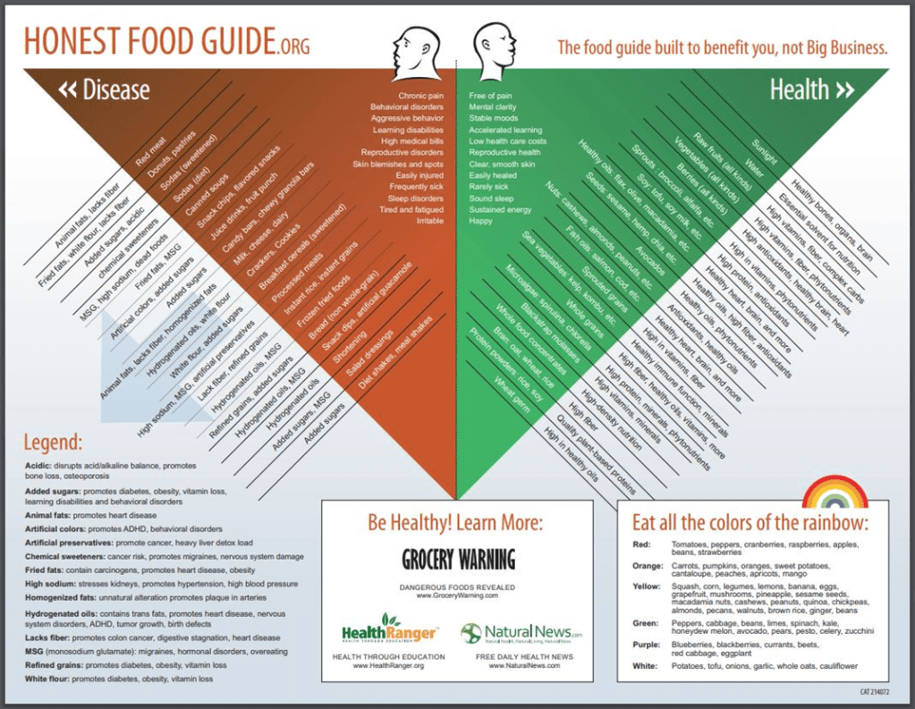 Diagram of healthy foods versus dangerous foods and the effects on health